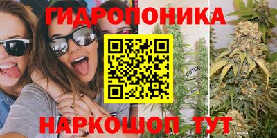 дурь Новокубанск
