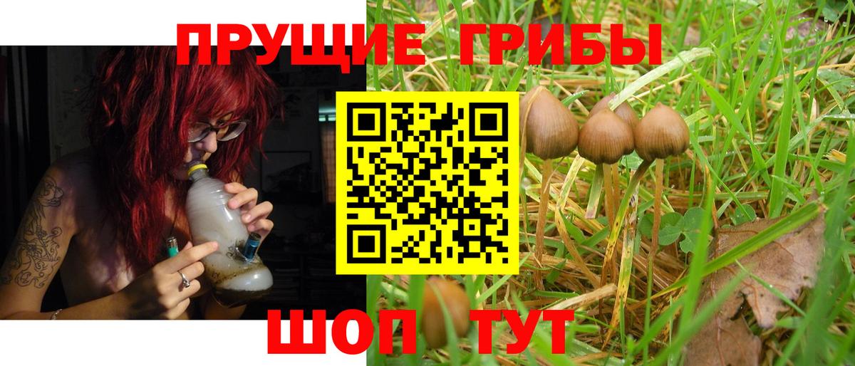купить закладку  Галлюциногенные грибы Magic Shrooms  Вход с VPN  Симферополь 