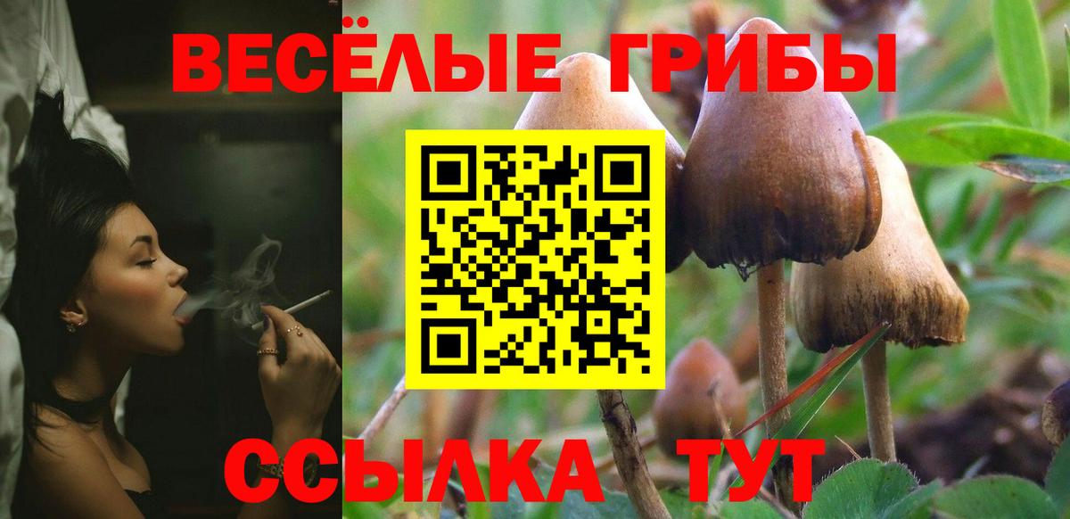 Галлюциногенные грибы прущие грибы Симферополь